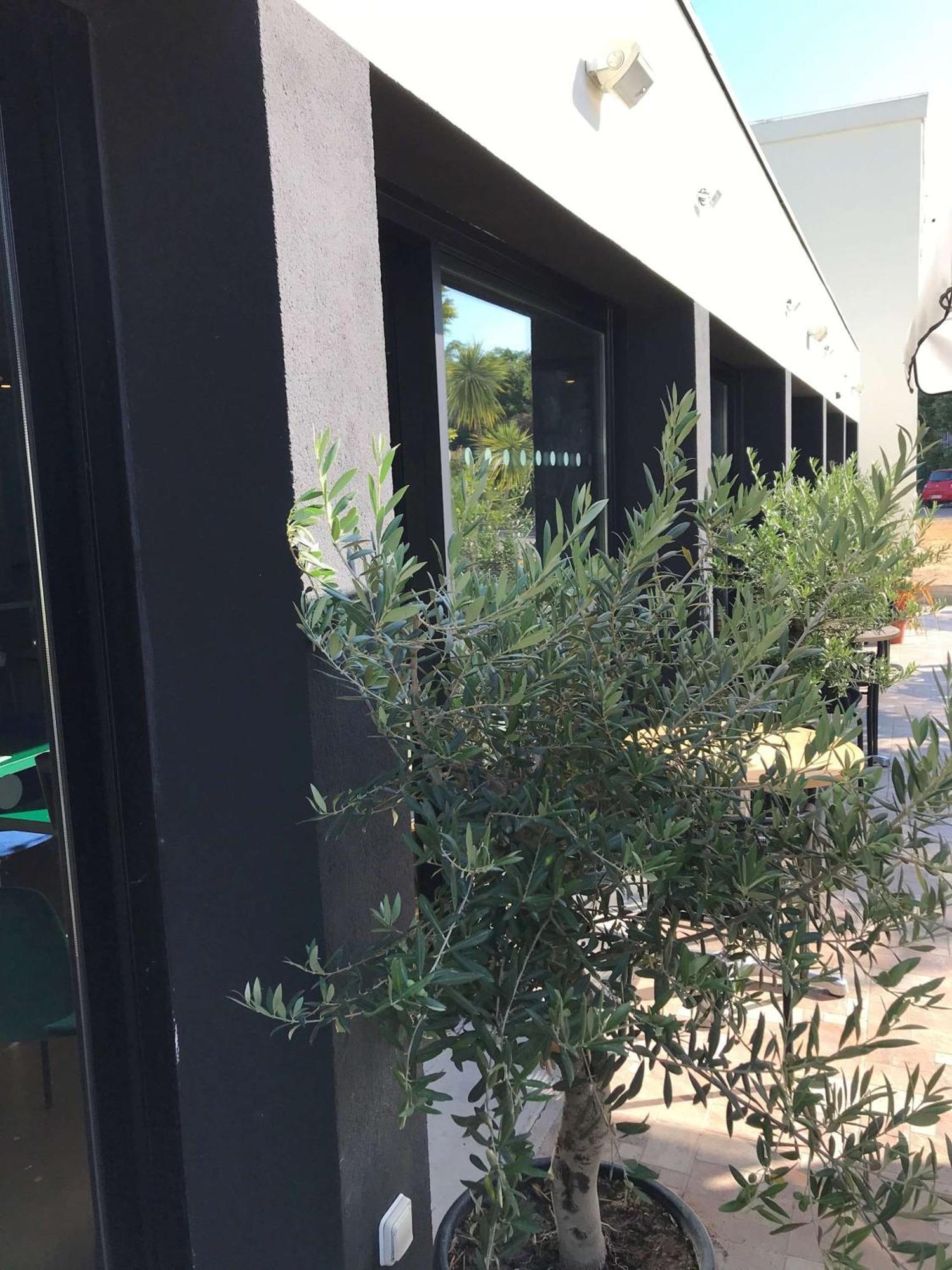 Brit Hotel Marseille Aeroport Mirabeau Екстериор снимка